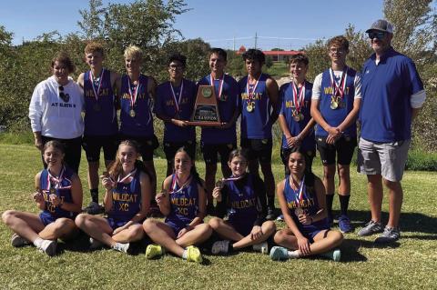 Terry County shines at district cross-country meets
