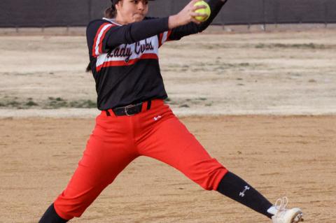 Brownfield Lady Cubs Softball Tournament