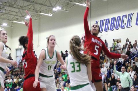 Lady Cubs title defense falls in the Area Round
