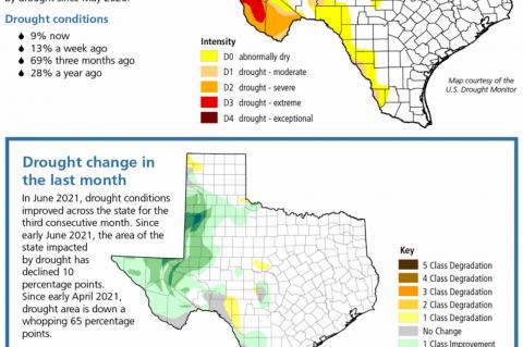Recent rain helps ease drought