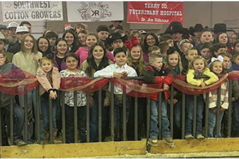 Terry County Hosts Annual County Stock Show