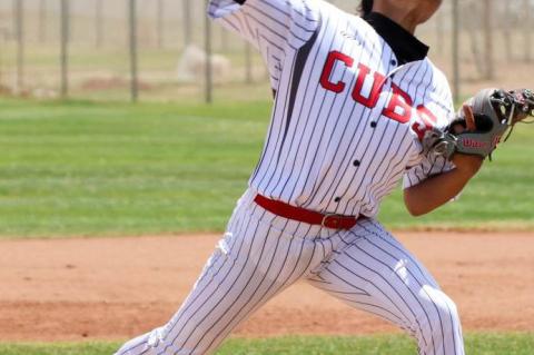 Brownfield Cubs fall to New Home 6-3