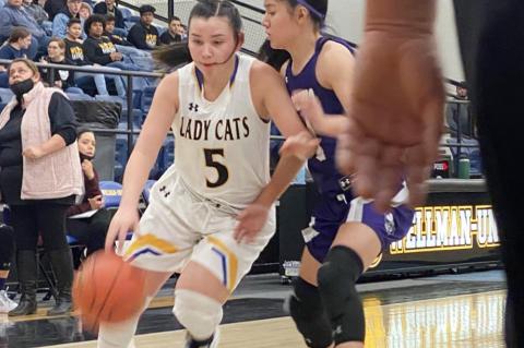 Lady ‘Cats stung by Lady Hornets