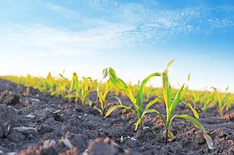 Potential tariffs may cause fertilizer prices to soar