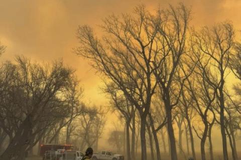 Wildfire Grows into 2nd-Largest in Texas History