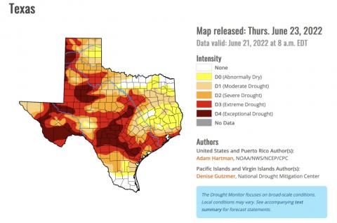 Wildfire concerns spread over Texas