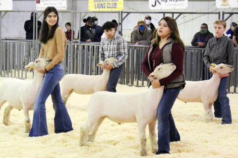 2021 Terry County Livestock Show