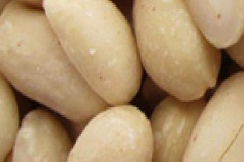 The four types of peanuts The four types of PEANUTS