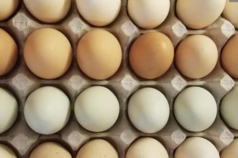 Egg prices climbing as Easter approaches