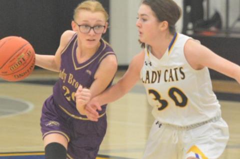 Lady ‘Cats winning streak snapped on the road
