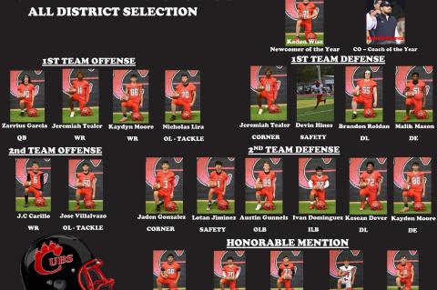 16 Cubs Selected to All-District