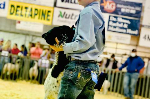 TERRY COUNTY STOCK SHOW