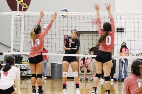 Lady Cubs sweep Anthony in first round action