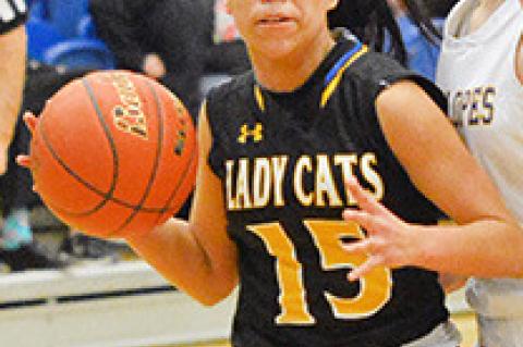 Lady Cats District Basketball Honors