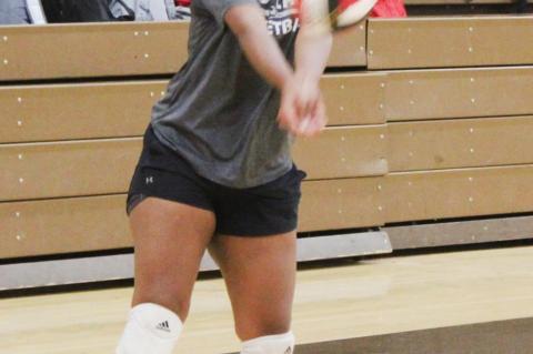 Tennis and Volleyball prepare for upcoming season
