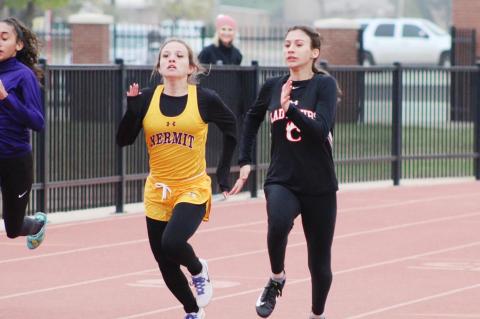 Brownfield runners qualify for state