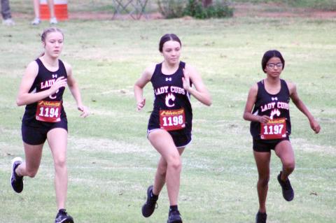 Cubs, Lady Cubs perform well in final prep for district meet
