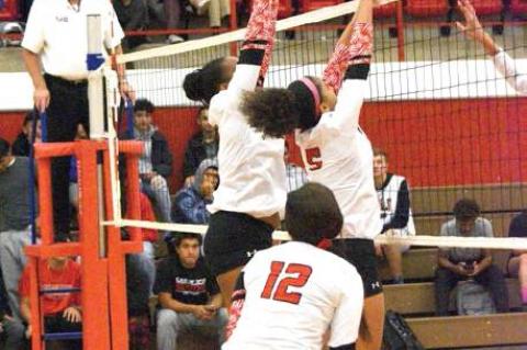 Lady Cubs head to playoffs