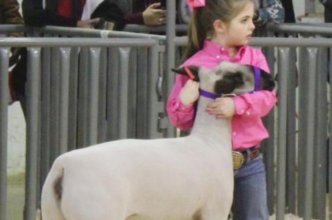 2021 Terry County Livestock Show