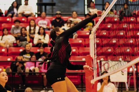 Brownfield Lady Cubs Sweep Lamesa Golden Tornadoes
