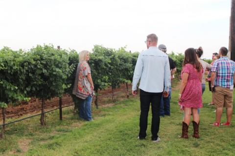 Vineyard festival helps promote local companies