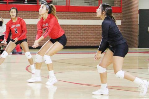 Fillies stop Lady Cubs in sweep