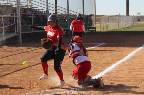 	BROWNFIELD Lady Cubs SOFTBALL