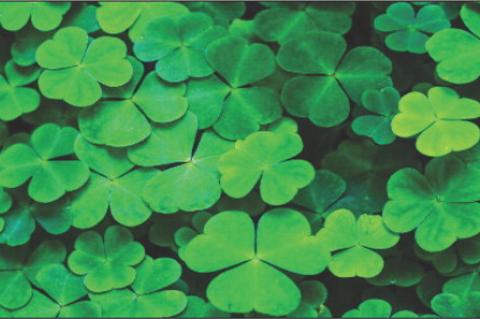 Why We Wear Green on St. Patrick’s Day