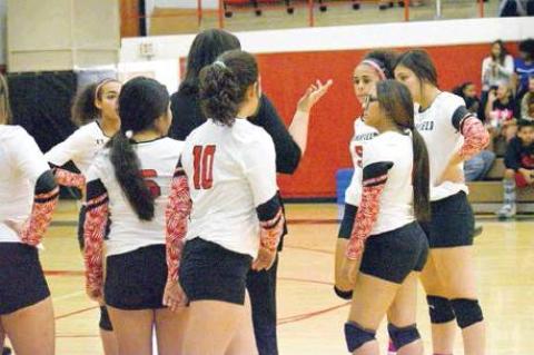 Lady Cubs head to playoffs