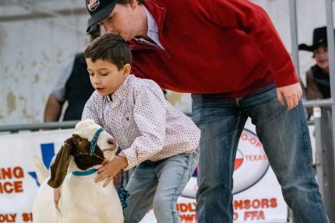 Brownfield Local Stock Show Results : Grand Champion Goat