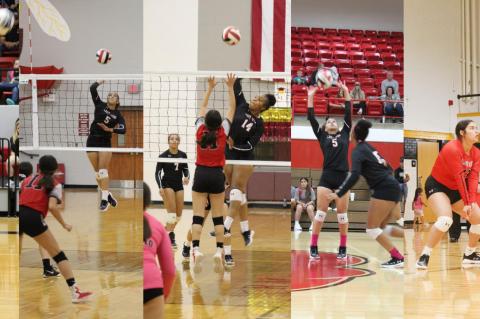 Lady Cubs look back on successful volleyball season