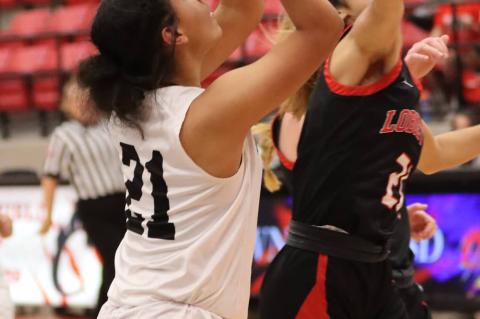 Lady Cubs Fall to Lady Loboettes in Season Opener : 34 - 64
