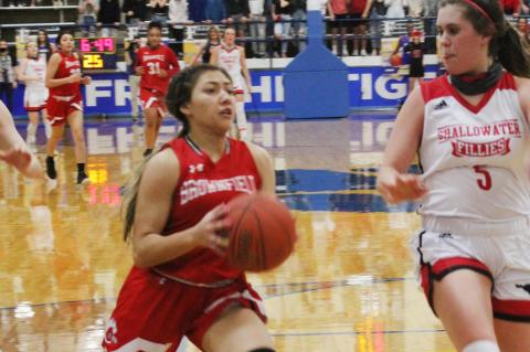 Lady Cubs knock off defending champs to reach state