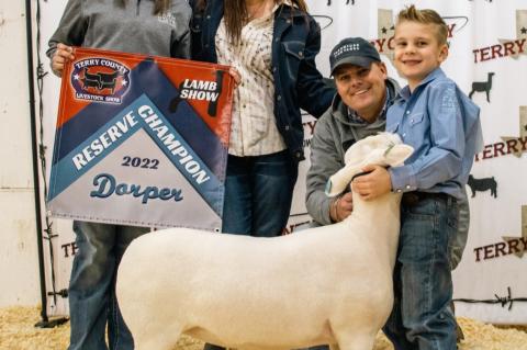 Grand Champion Lamb Show |